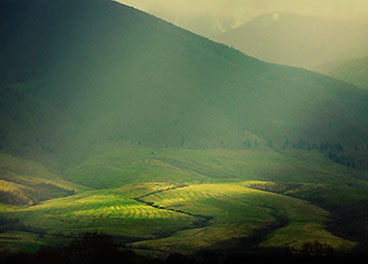 迷你轰炸机平台